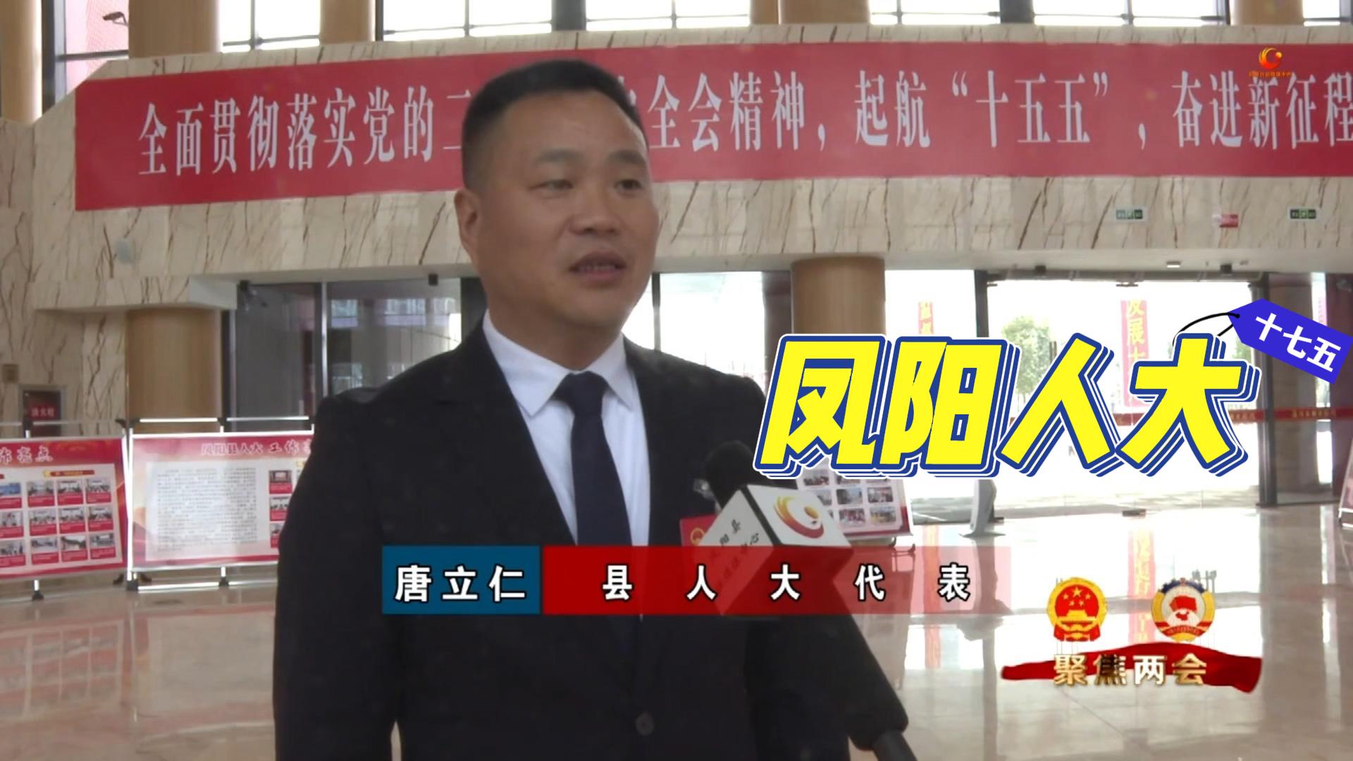董事长唐立仁出席凤阳县人大代表会议